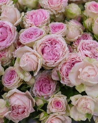 Arrangement