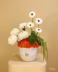 Congratulation
