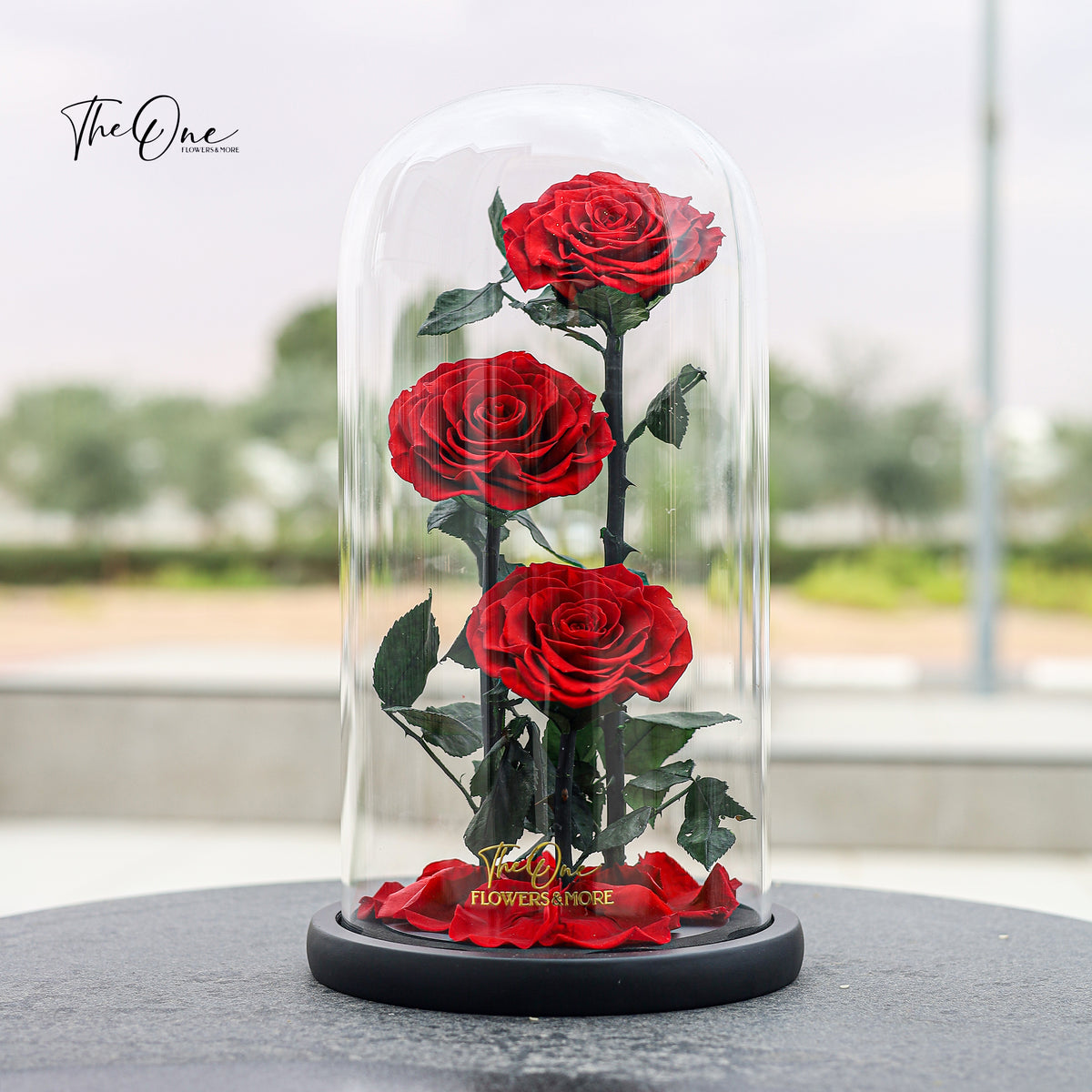 Eternal flower rose in Glass