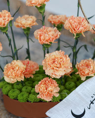 Luxury Ramadan Flower & Chocolate Gift Box with Same Day Delivery