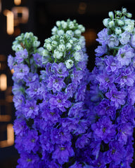 Elegant Ramadan Flower Arrangement – Same Day Delivery