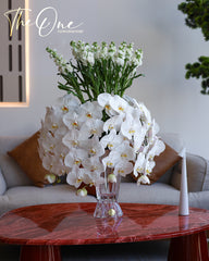 Elegant White Orchid & White Flower Arrangement